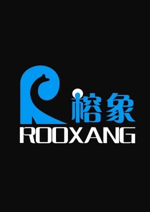 公司介绍