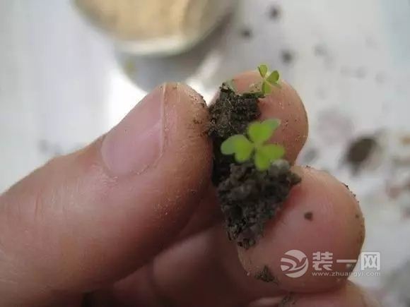 小灯泡设计效果图